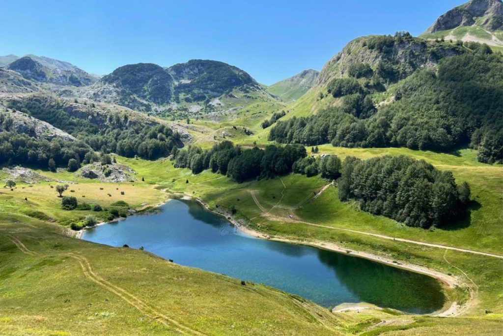 Orlovačko jezero